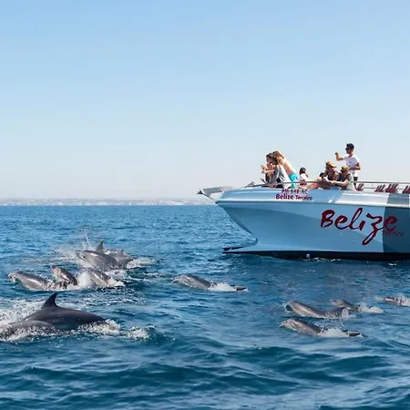 Vitismar Ca * 吉亚