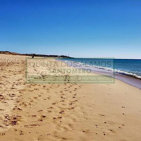 Vitismar Ca * Guia (Faro)